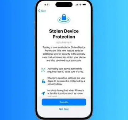赫山苹果授权维修店分享被盗设备保护功能开启方法 
