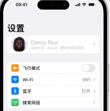 赫山appleID维修服务iPhone设置中Apple ID显示为灰色无法使用 