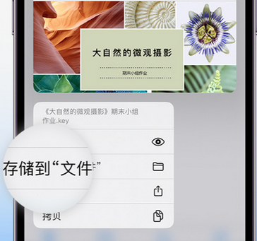 赫山apple维修中心分享iPhone文件应用中存储和找到下载文件