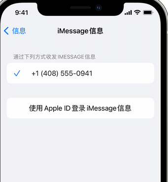 赫山apple维修iPhone上无法正常发送iMessage信息 