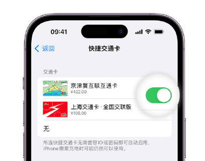 赫山apple维修点分享iPhone上更换Apple Pay快捷交通卡手绘卡面 