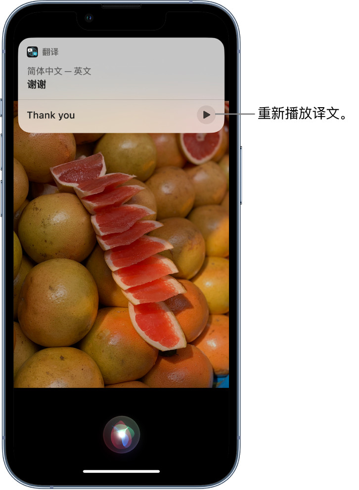 赫山苹果14维修分享 iPhone 14 机型中使用 Siri：了解 Siri 能帮你做什么 